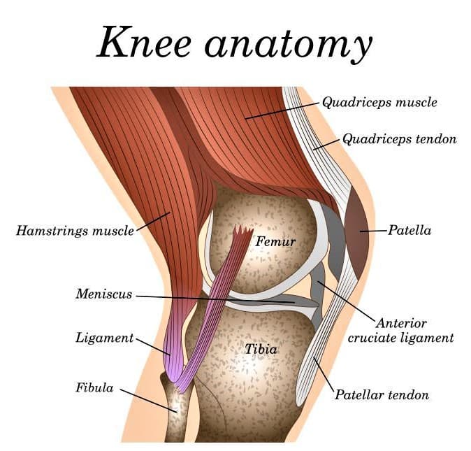Knee Pain After Meniscus Surgery – Causes & Relief