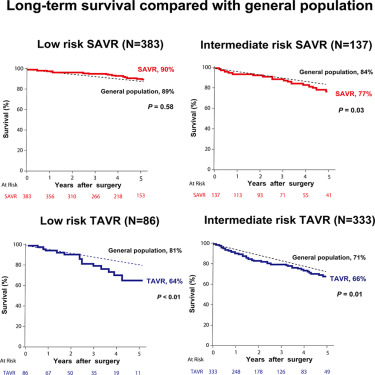 Life Expectancy After TAVR Procedure: Real Data Answers