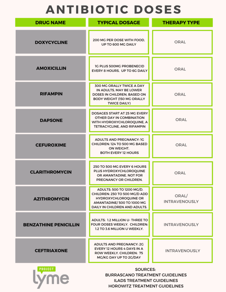 Lyme Disease Antibiotics: What Works, How Fast, Risks