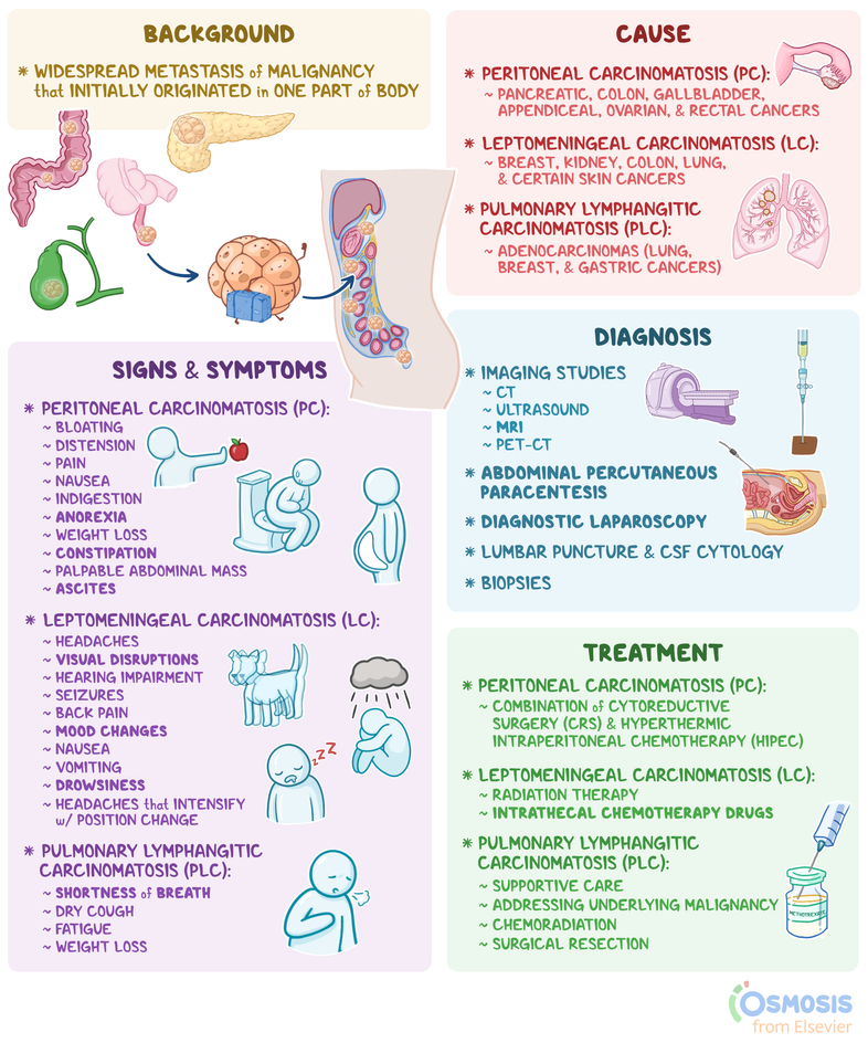 Peritoneal Cancer Treatment: Hope & Real‑Life Options