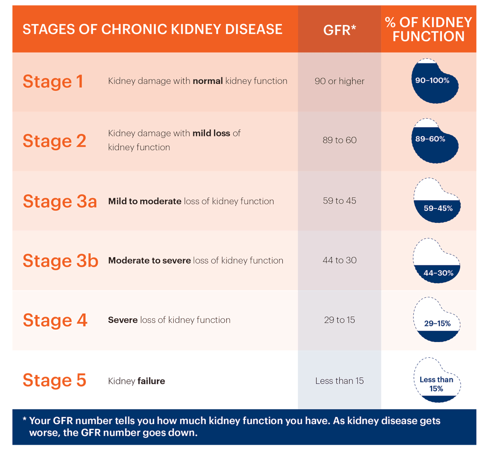 Renal Failure Self-Test: Quick Guide & What to Know