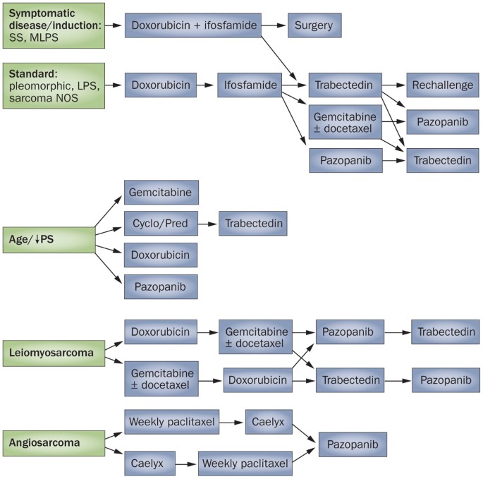 Soft Tissue Sarcoma Drugs: What Works and What’s New