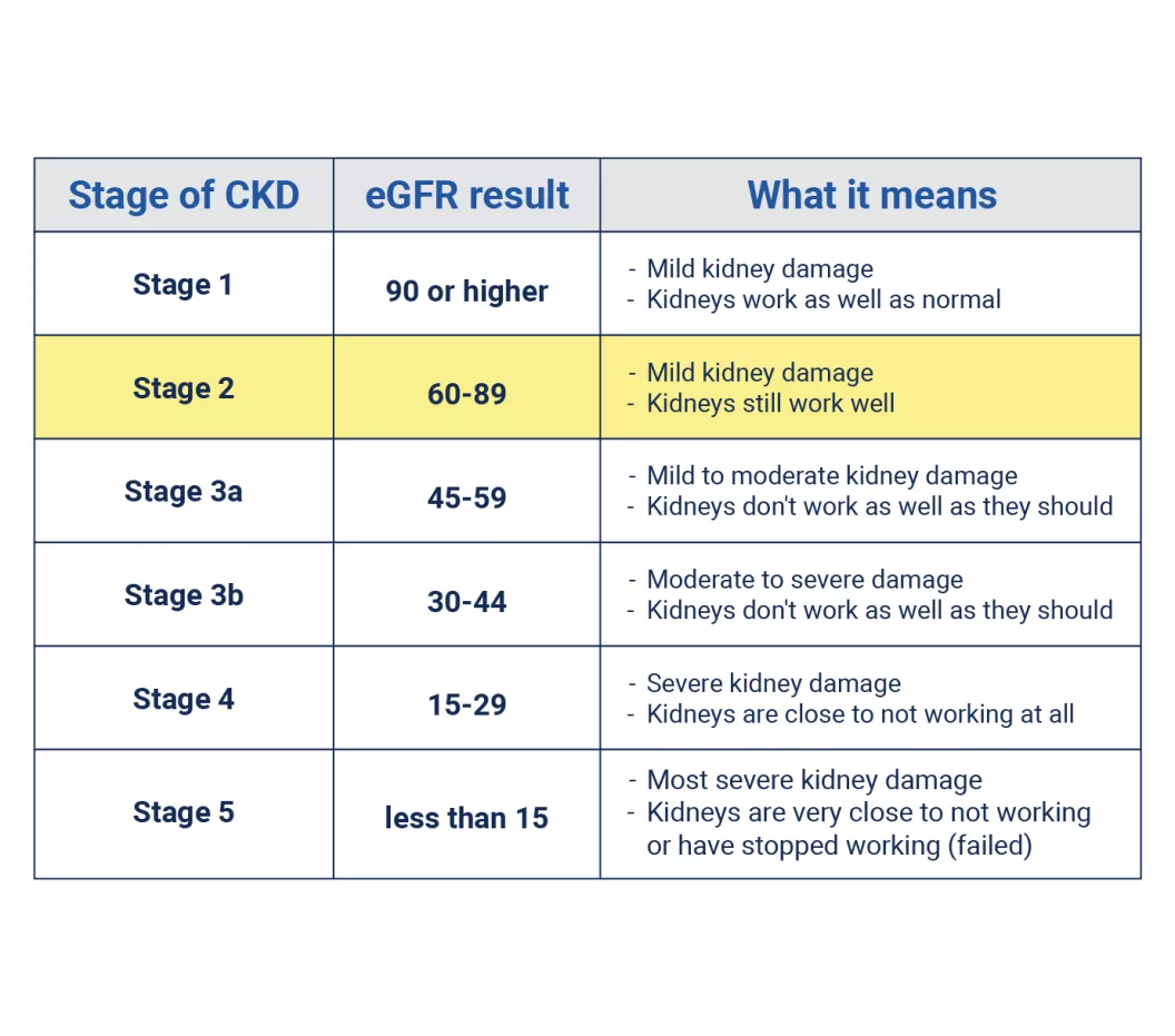 Stage 2 Kidney Treatment: What You Need to Know Right Now