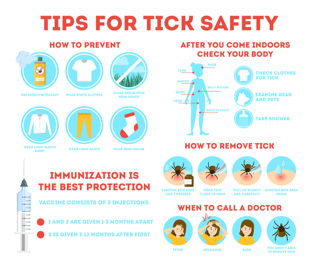 Essential Tick Prevention Tips for Safe Outdoor Fun