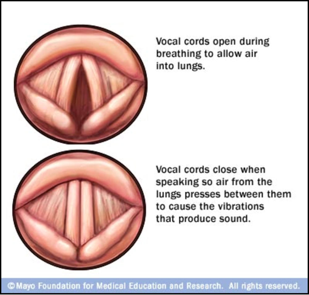 Voice Changes RLN: Why Your Voice Shifts After Surgery
