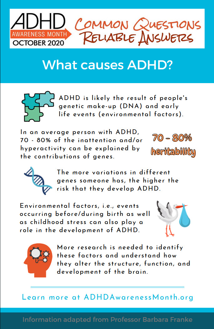 What Causes ADHD in the Brain – Simple Answers