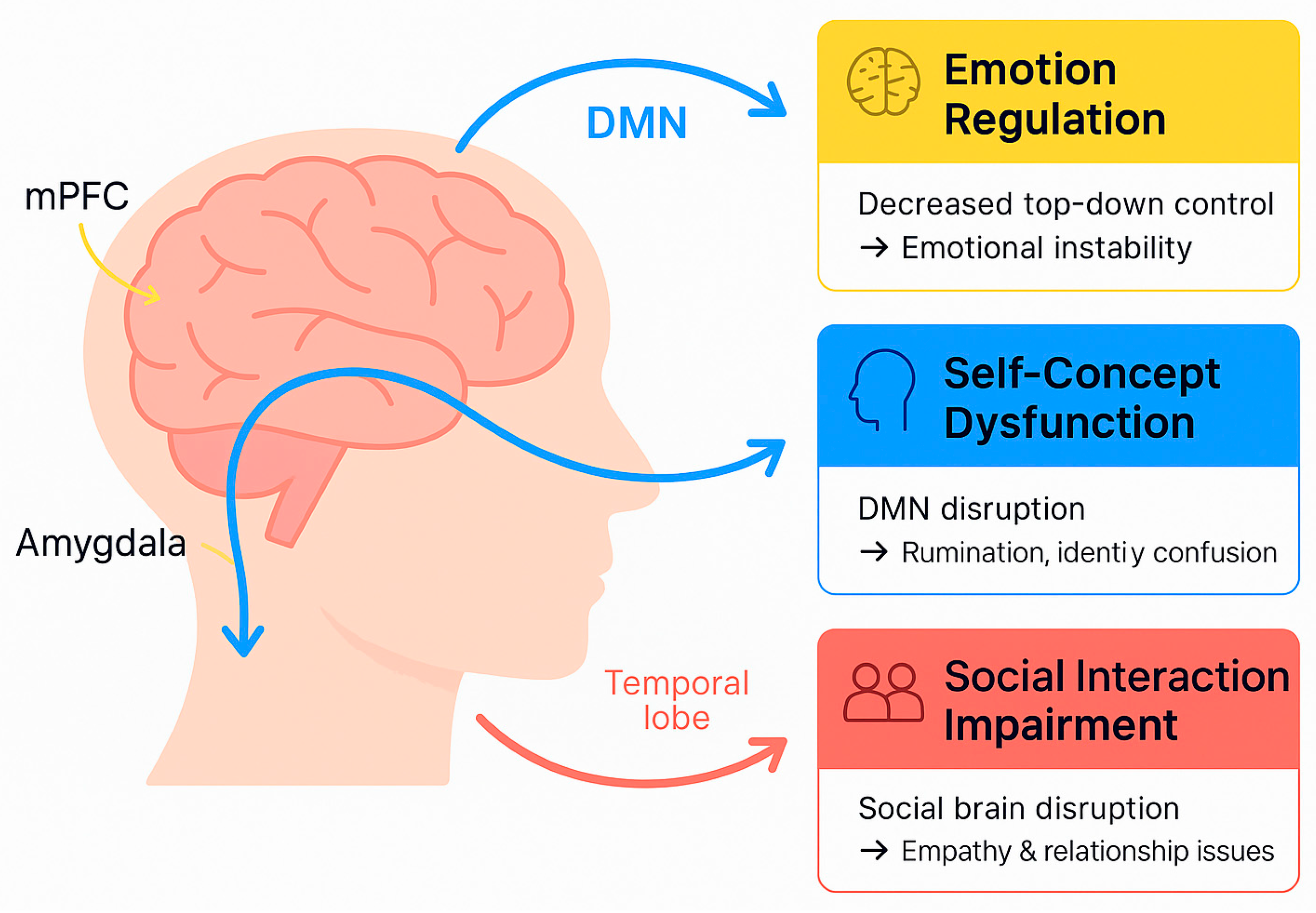 BPD Brain Chemistry: Science That Explains the Mind
