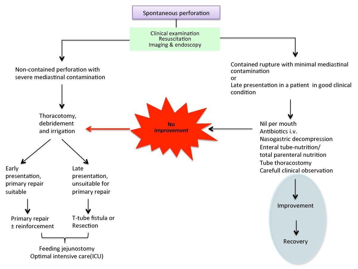 Esophageal Perforation Diagnosis: Fast, Reliable Answers