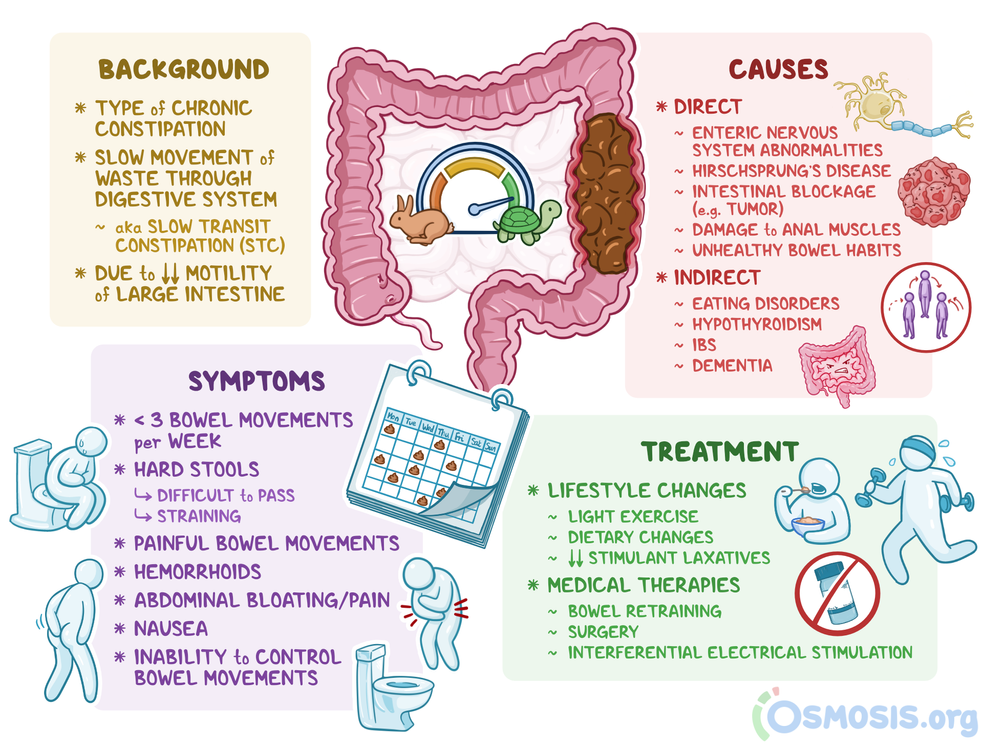 Functional Constipation: Causes, Symptoms & Treatment Guide
