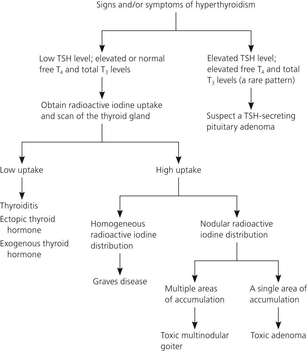 Hyperthyroidism Diagnosis: What You Must Know Today