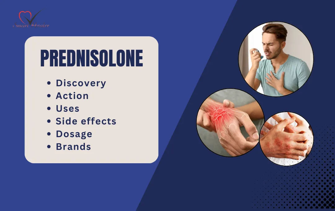 Prednisolone Uses – Benefits, Dosage & Risks Explained