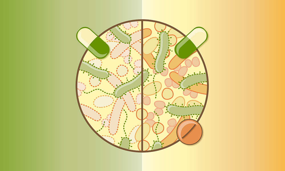 Gut Microbiome & Antibiotics: What You Need to Know