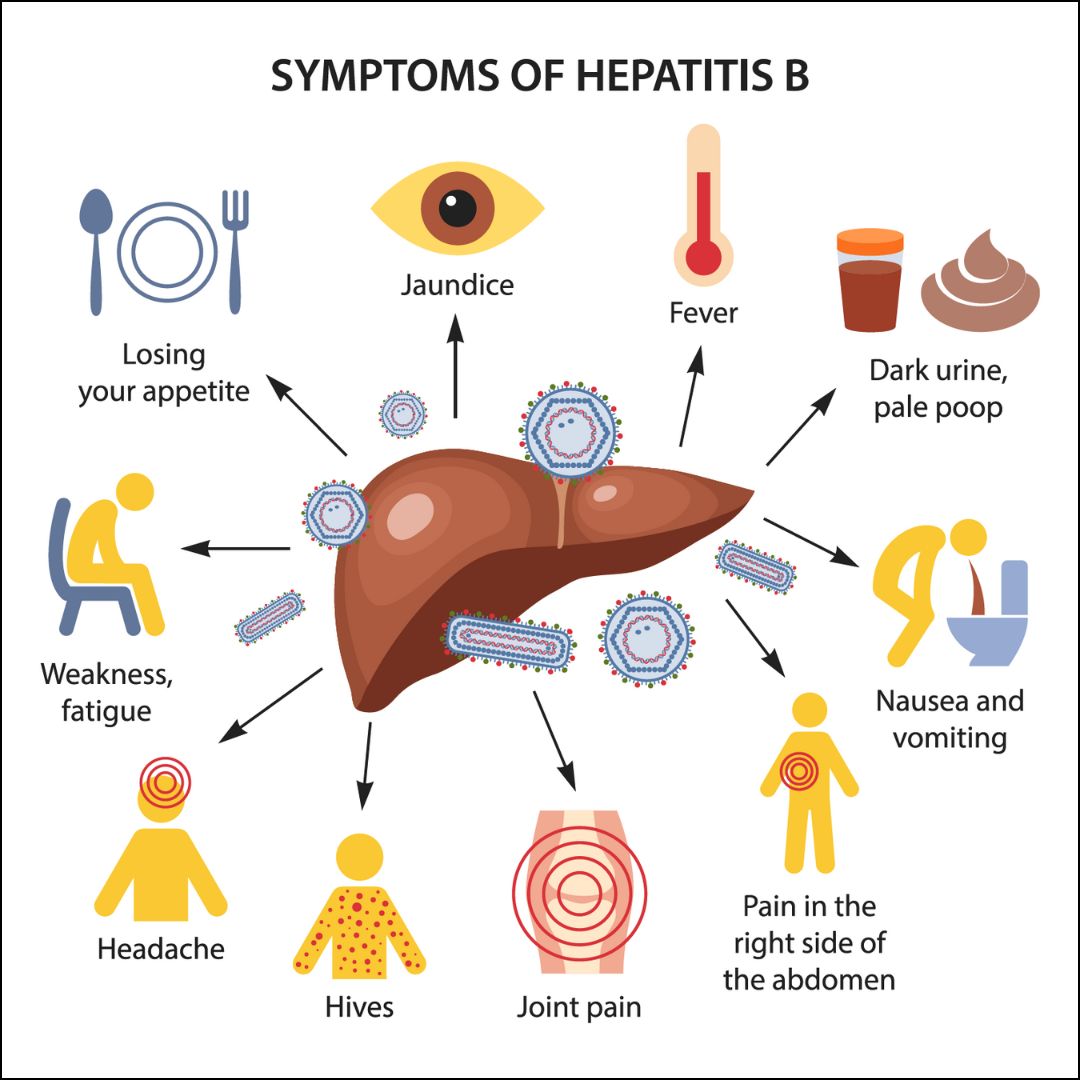Hepatitis B Causes: What Triggers the Infection