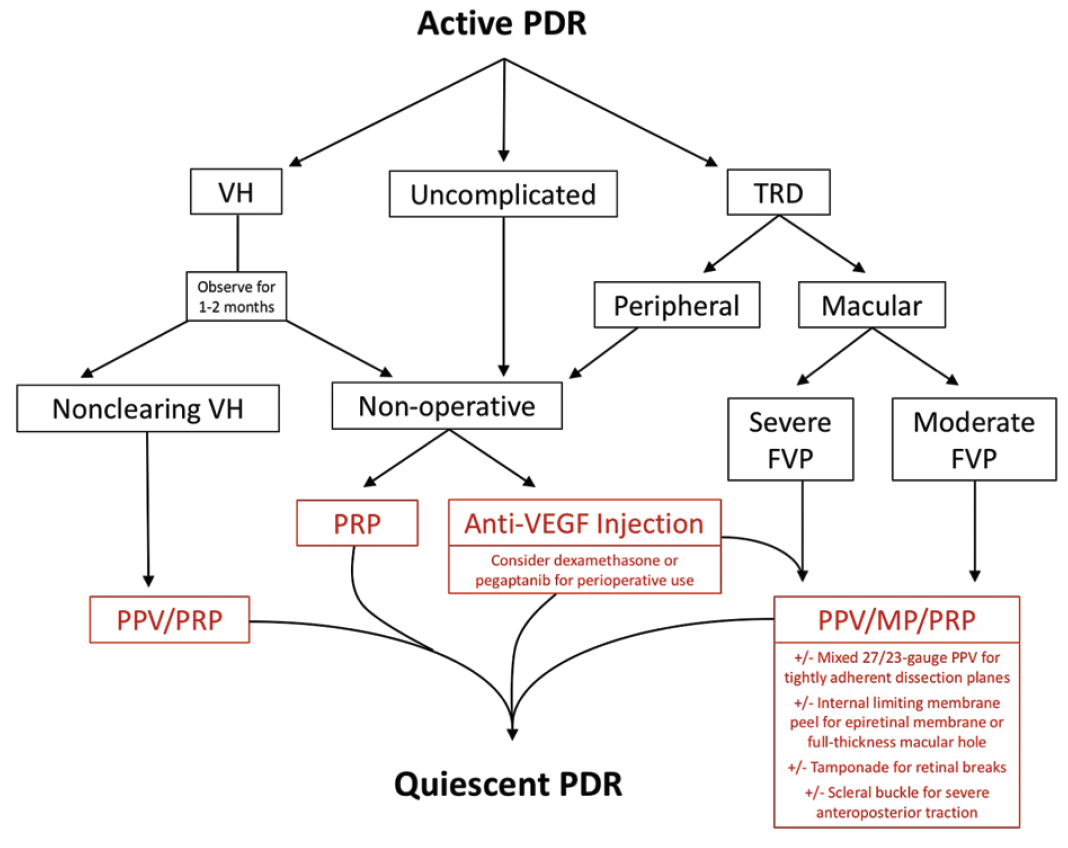 PDR Treatment Options: Choosing the Best Vision Path