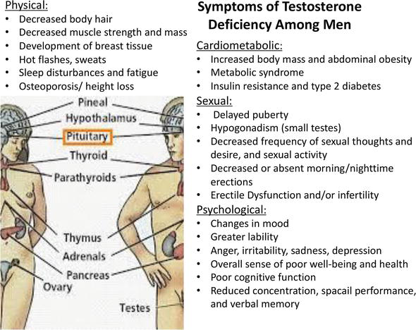 Anti‑Androgen Side Effects in Males: Essential Guide