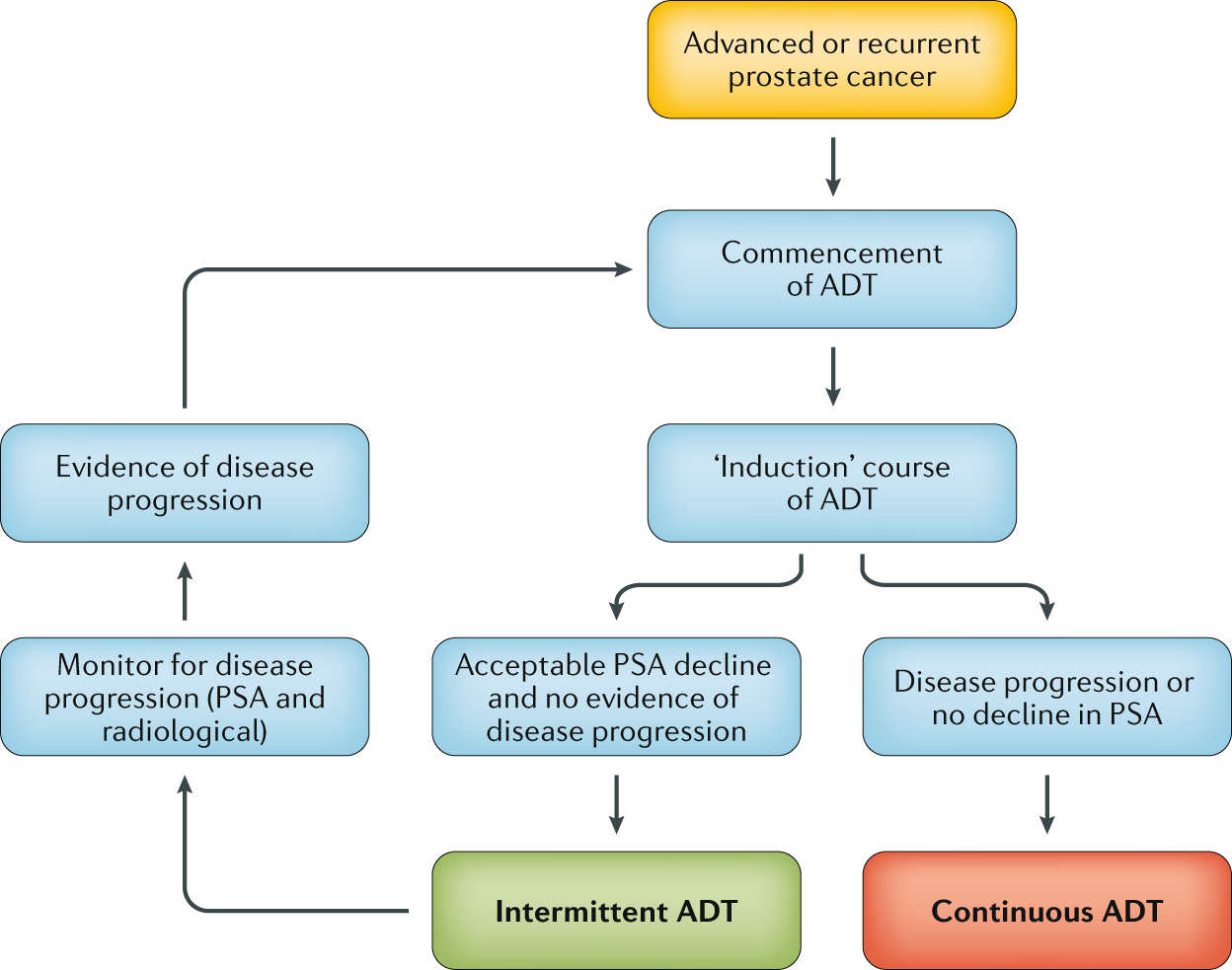 ADT Examples for Prostate Cancer: Benefits & Risks