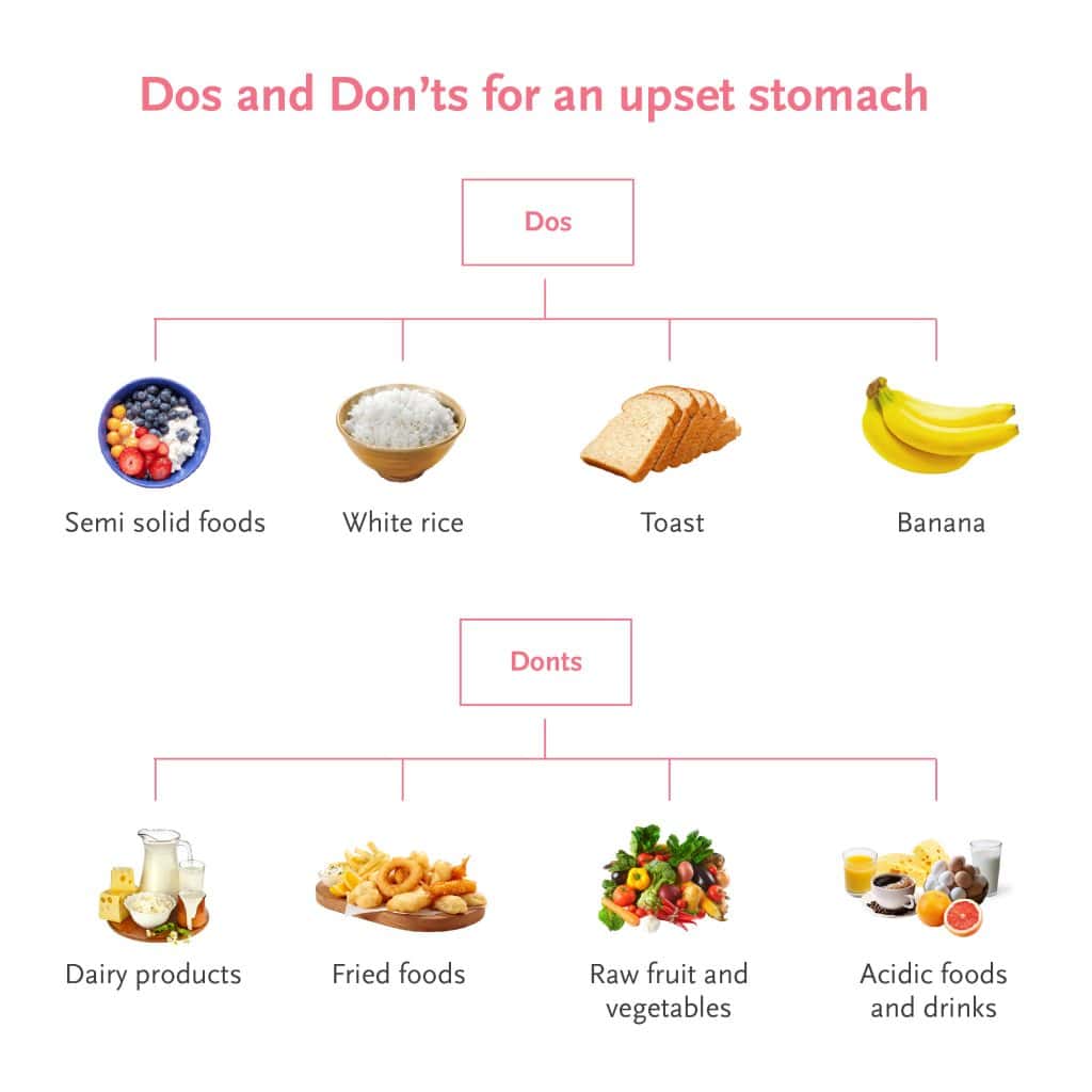 Foods That Prevent Stomach Bug – Quick Guide to Recovery