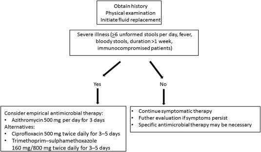 Gastroenteritis Antibiotics Guidelines: Quick Answers