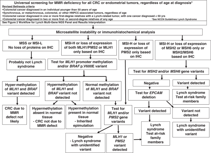 Genetic Testing for Colon Polyps: What You Need to Know