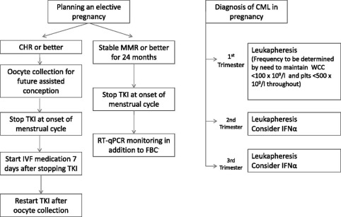 How I Treat AML in Pregnancy: A Straightforward Guide