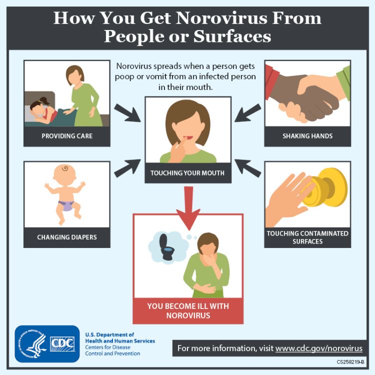 How Long Are You Contagious with Norovirus in Adults
