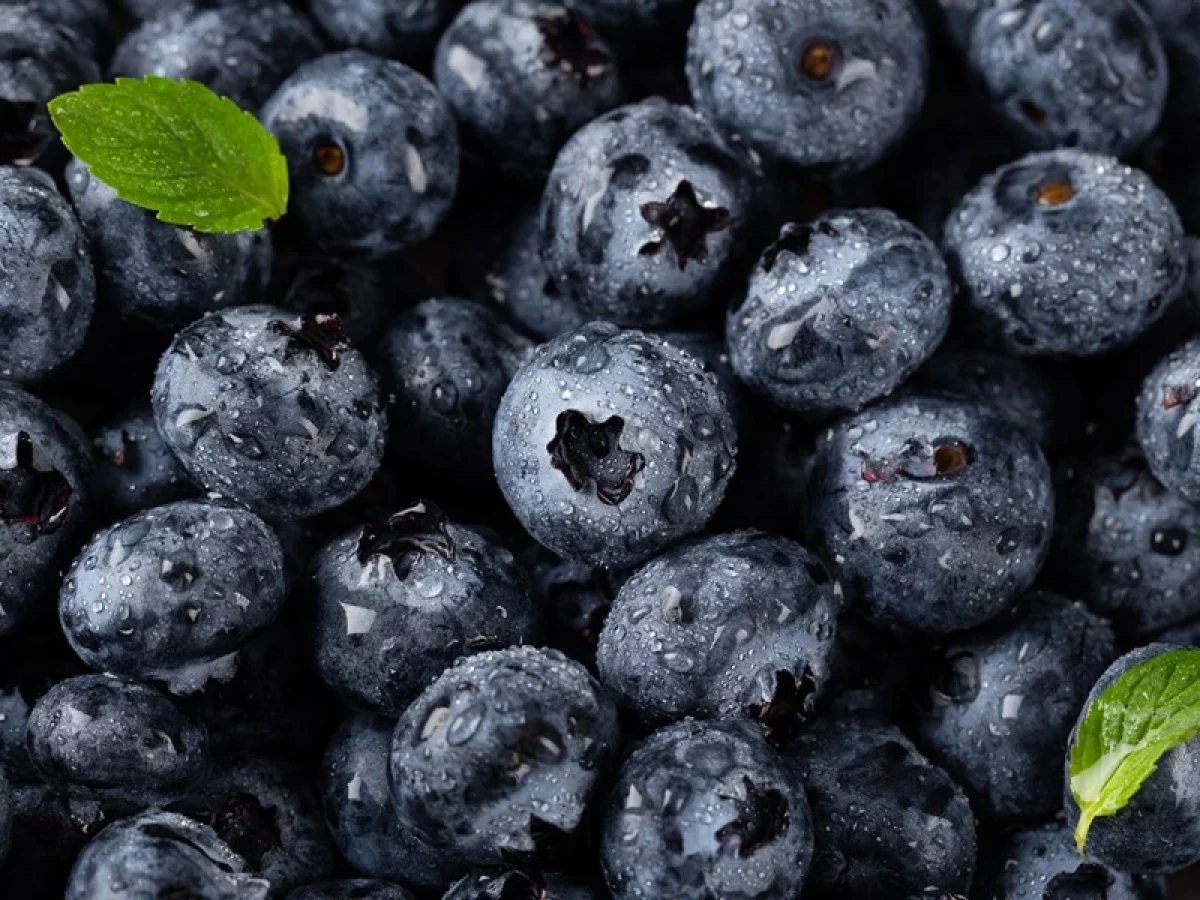 How Many Blueberries Can a Diabetic Eat? Simple Guide