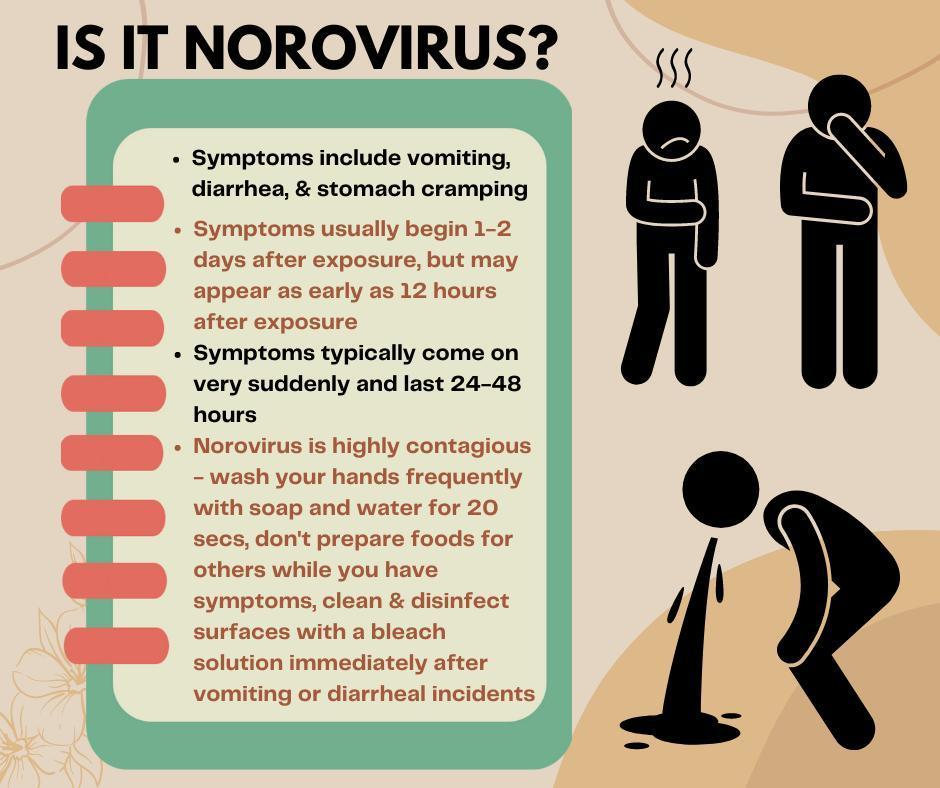 Norovirus Incubation Period: What You Need to Know