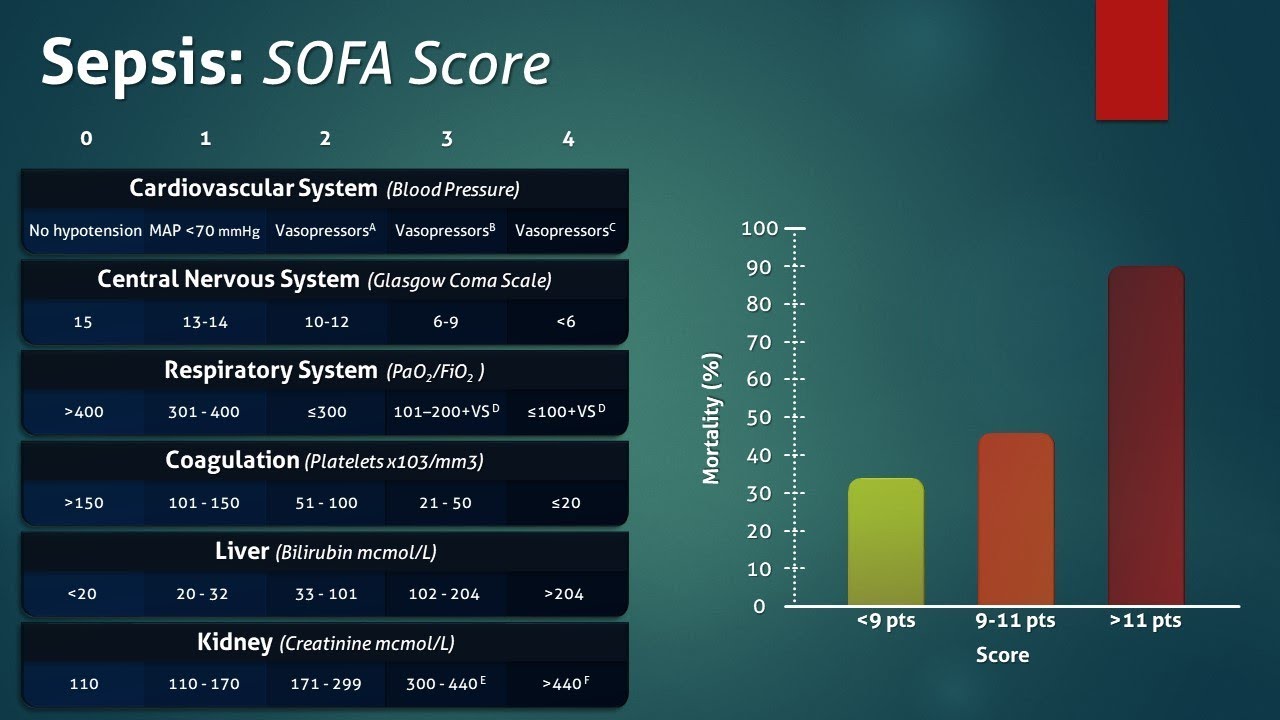 SOFA Score Sepsis Interpretation: Quick, Clear Guide