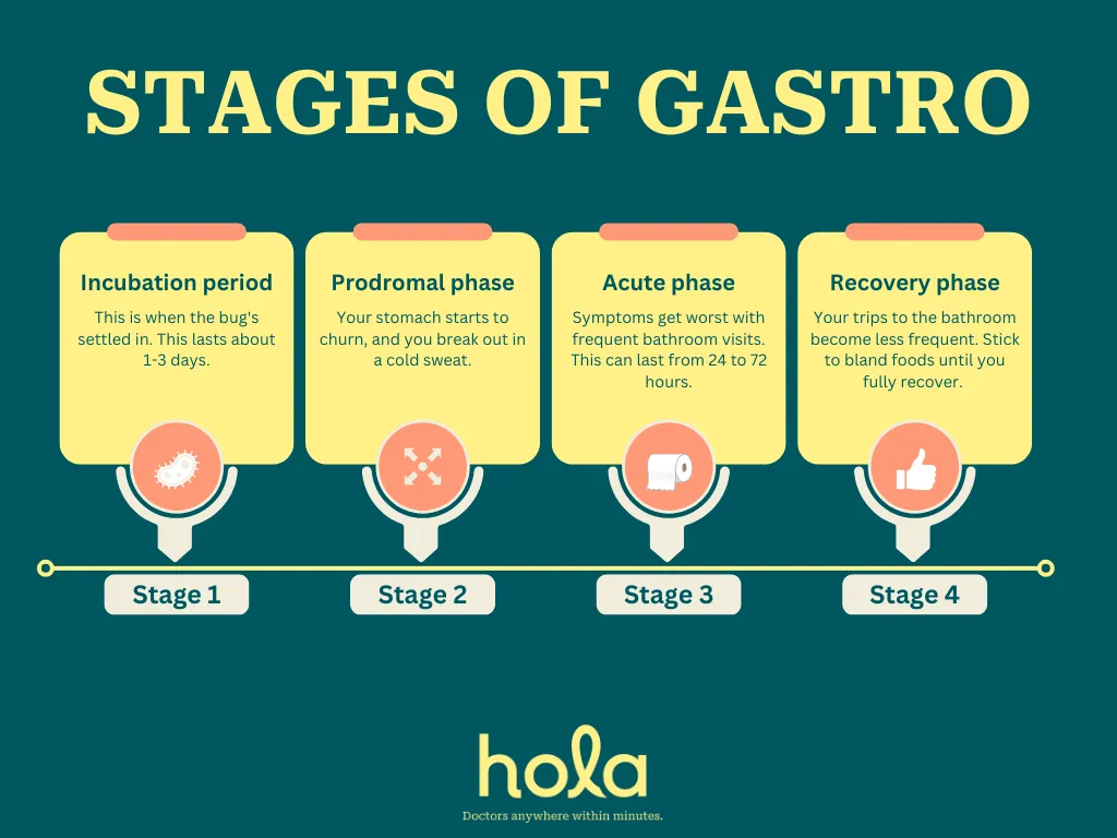 Stages of Gastro in Adults – How It Happens & Helps