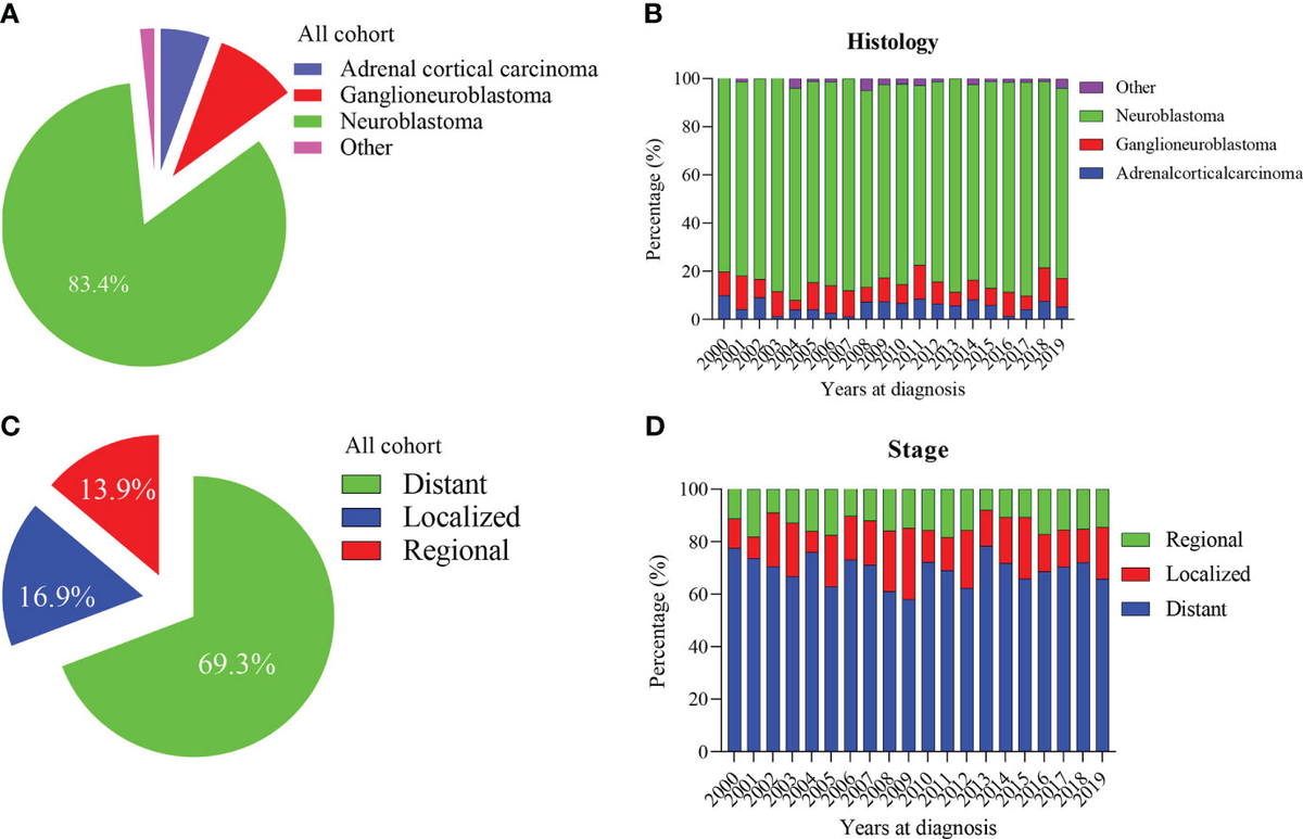 Death Rate of Adrenal Cancer: Essential Facts
