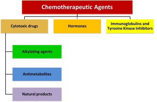 List of Chemotherapy Drugs: Types, Uses & Risks