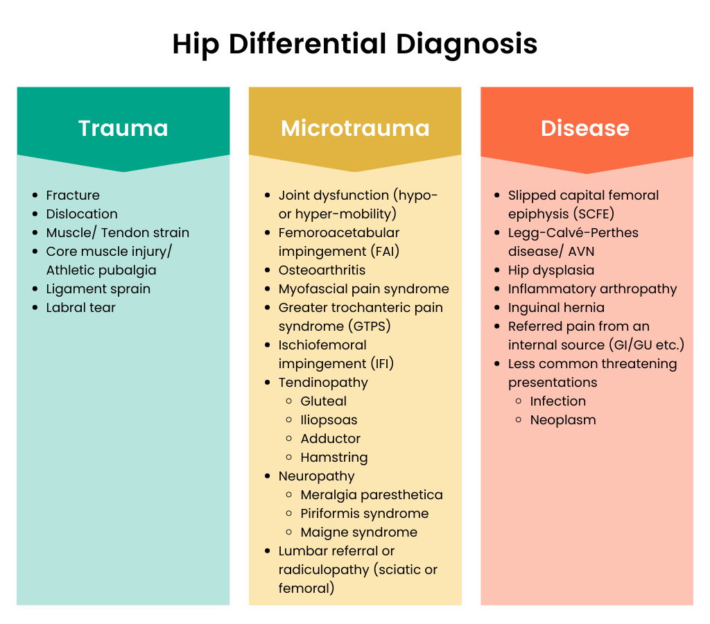 Anterior Hip Pain Differential Diagnosis Guide