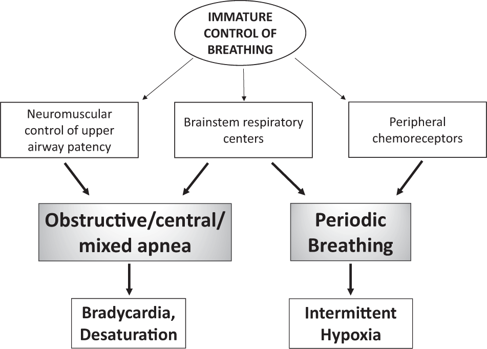 Apnea in Newborns Treatment: What Parents Need to Know