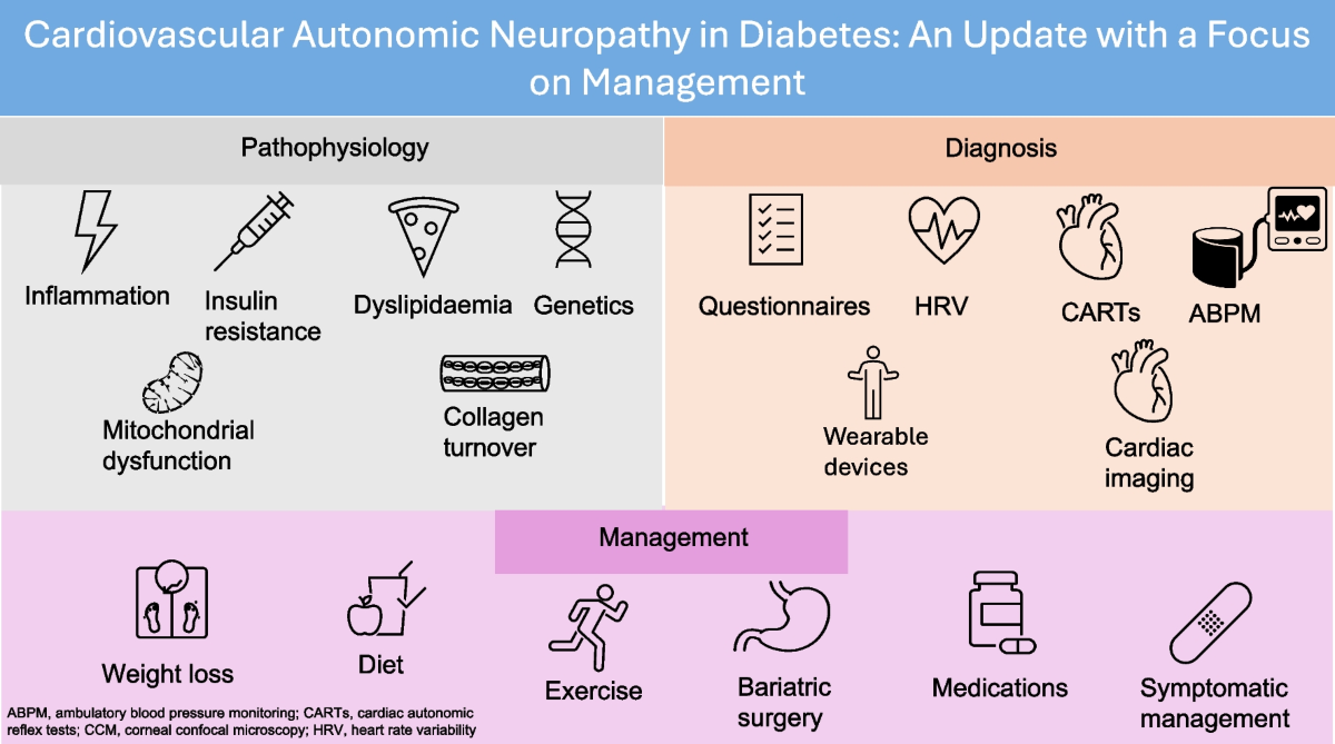 Cardiac Autonomic Neuropathy Symptoms: Key Facts