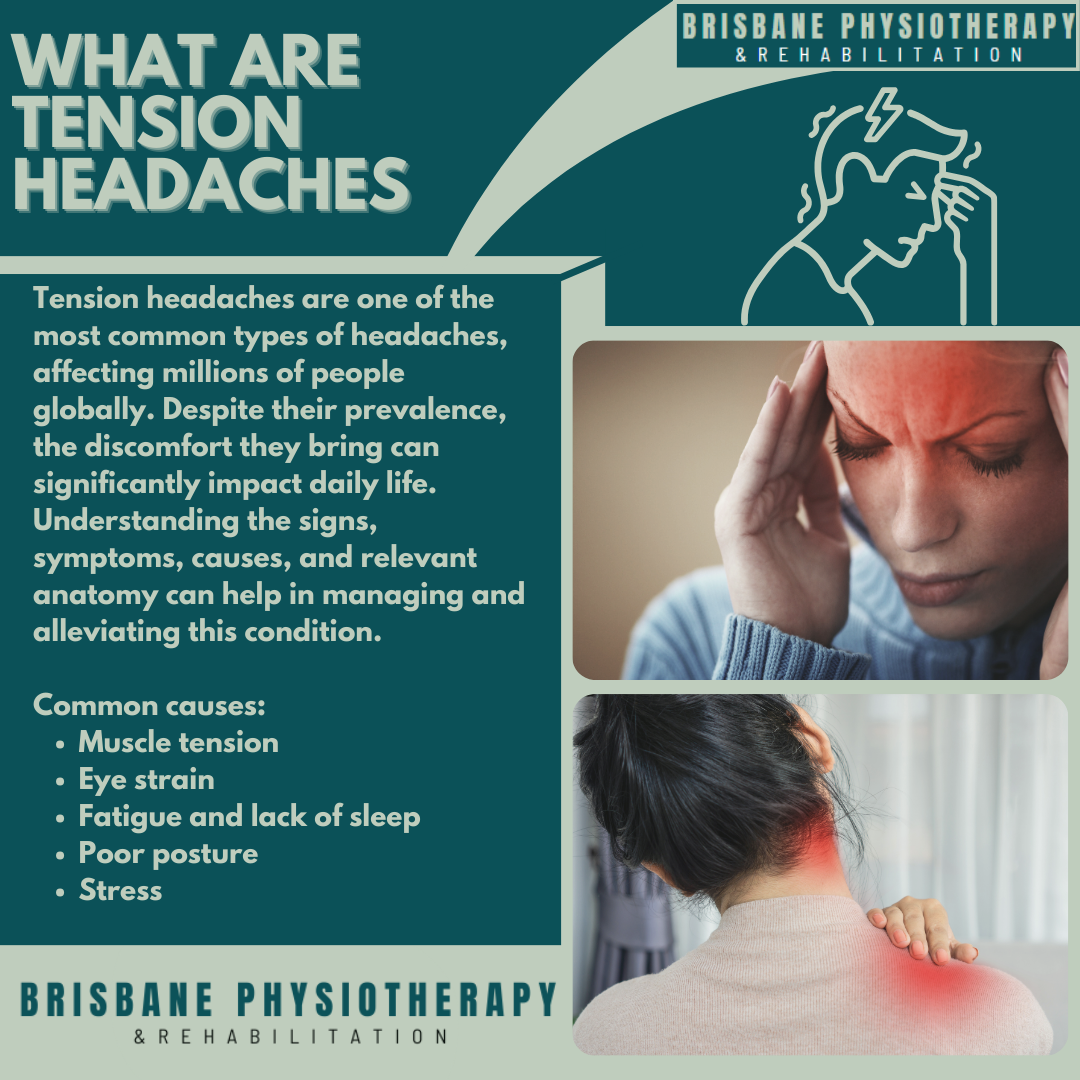 Emotional Stress Headache Location – Why It Hurts
