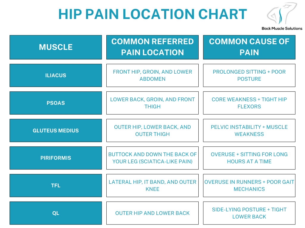 Hip Pain Diagnosis Chart: Find Relief Fast Today