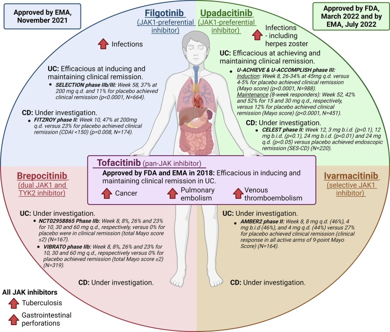Jak Inhibitor Ulcerative Colitis Side Effects