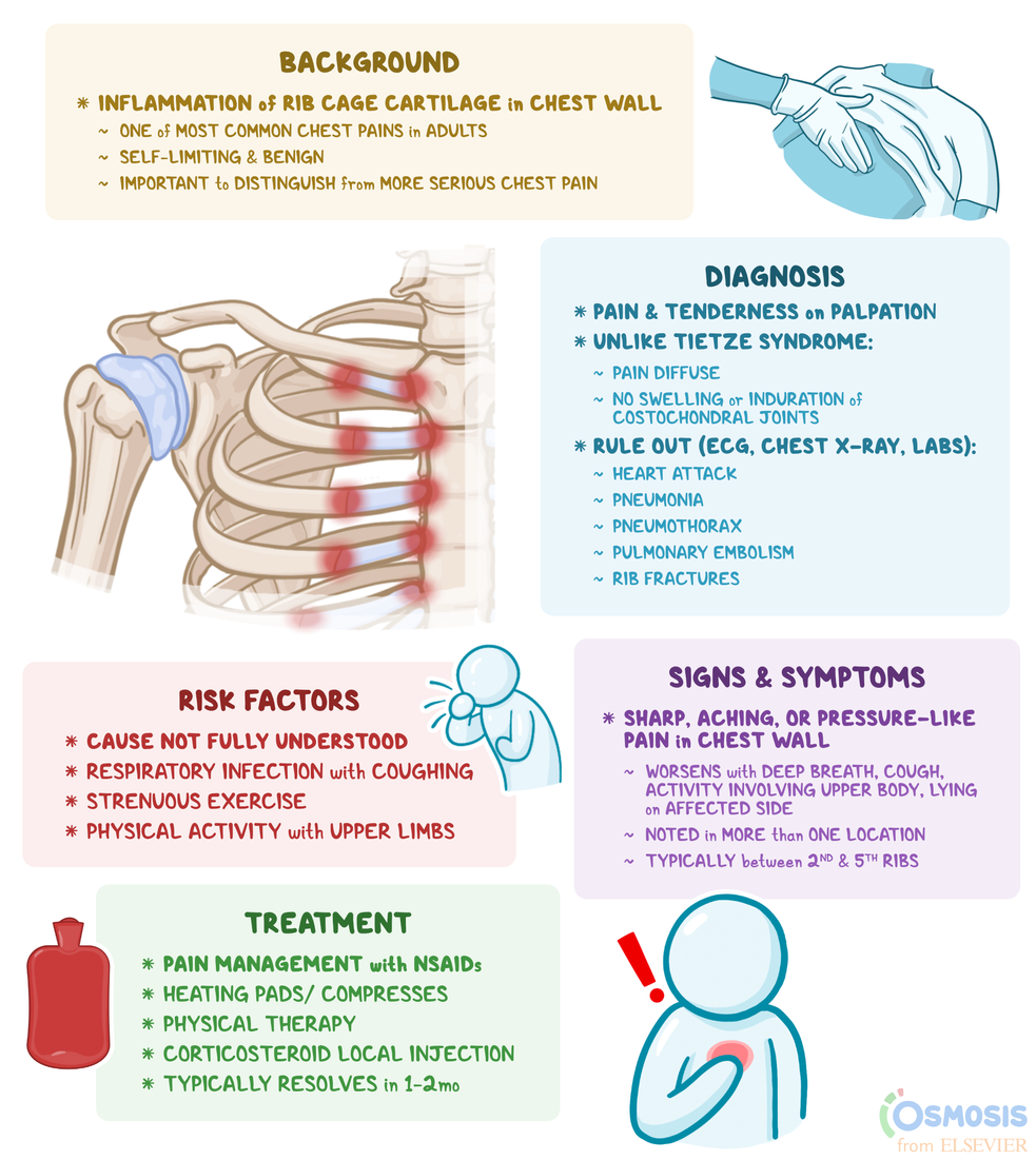 Musculoskeletal Chest Pain in Adults: Causes & Relief