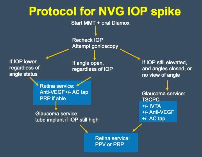 Neovascular Glaucoma Treatment Drugs: What Works?