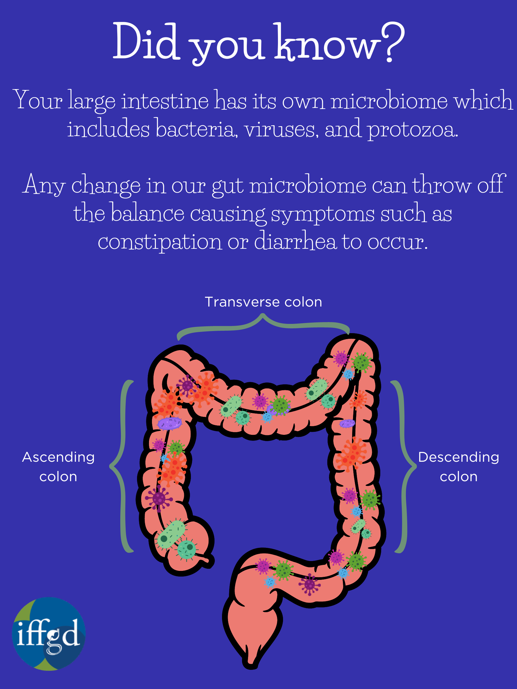 What Can Cause Very Large Bowel Movements? Learn More