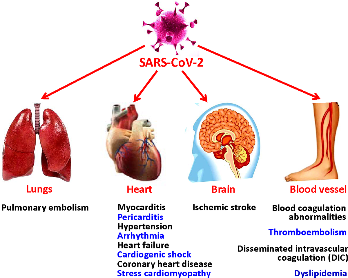 Covid Heart Damage Symptoms: What to Watch For