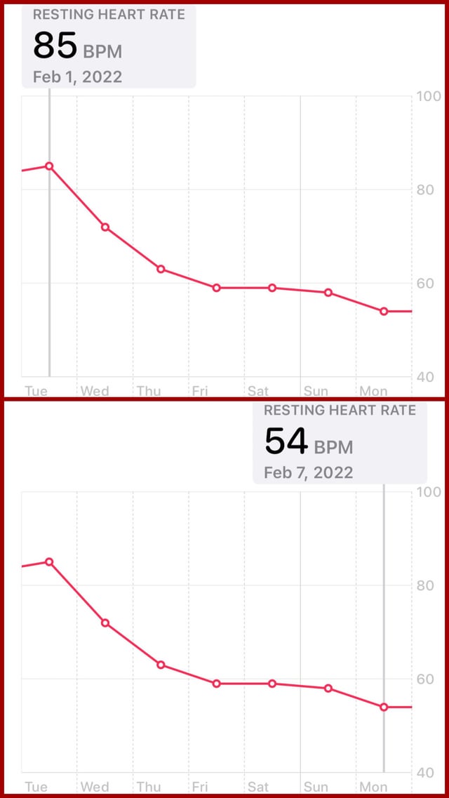 Long Covid Heart Rate Reddit: Real Stories & What to Do