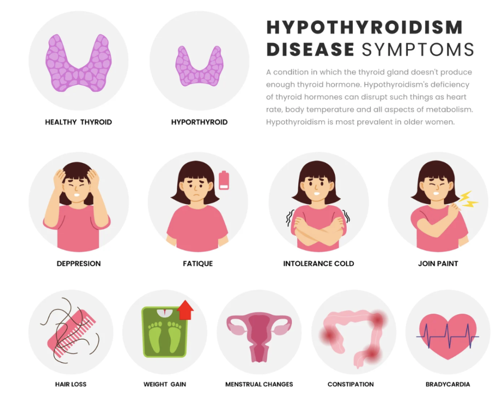Thyroid Weight Gain Symptoms: Spot the Signs & Fix