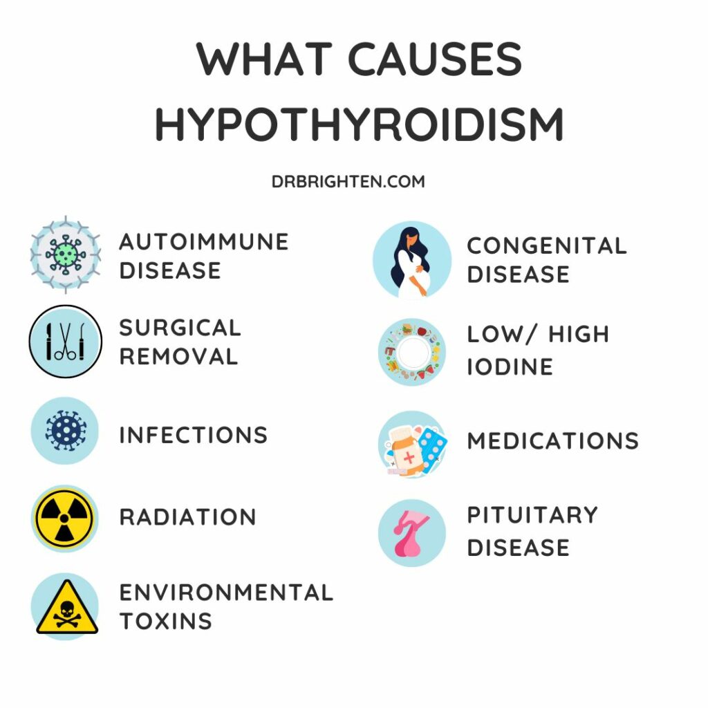What Causes Hypothyroidism? The Real Triggers Explained