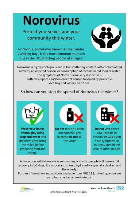 How Long Does Norovirus Live on Surfaces? Quick Answers