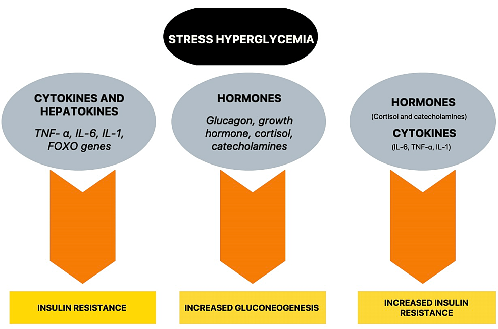 Stress Hyperglycemia Treatment: Quick Relief Plan