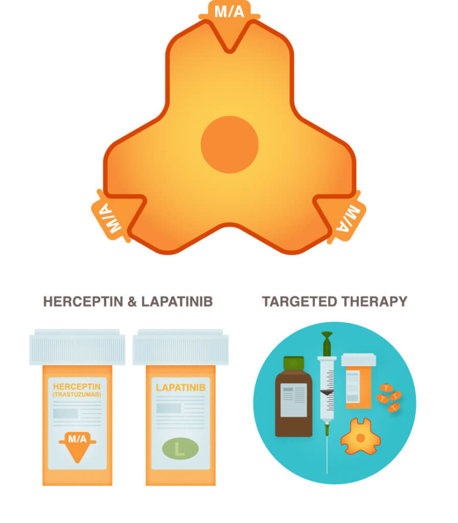 Targeted Therapy for HER2‑Negative Breast Cancer