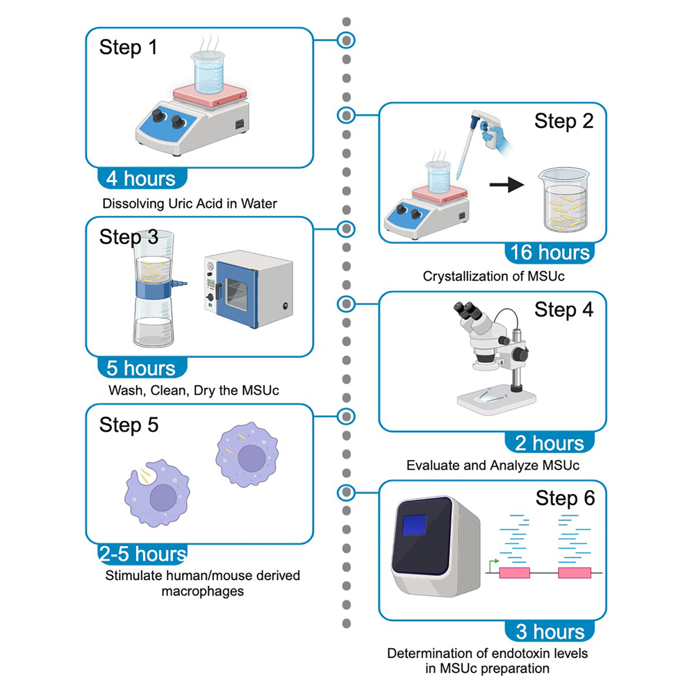 Can Heat Dissolve Uric Acid Crystals? Explained