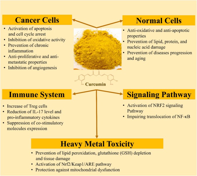 Can Turmeric Cause Urinary Problems? Find the Truth
