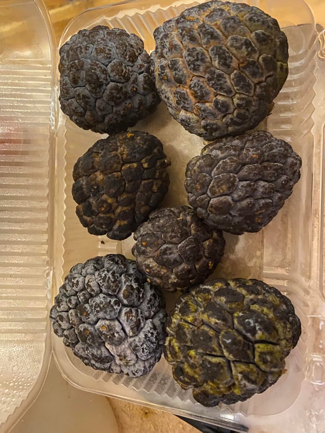 Is Sugar in Apples Bad? The Truth Every Diabetic Needs